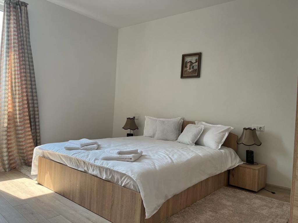 Sabina Apartaments Sfântu-Gheorghe Екстериор снимка