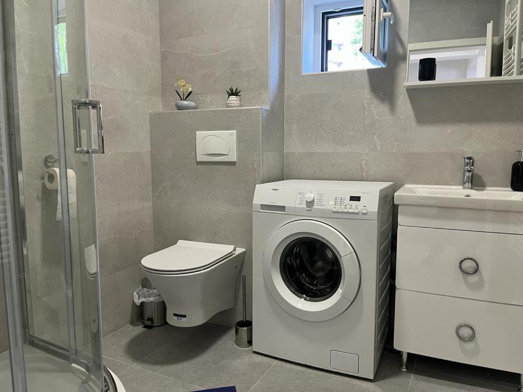 Sabina Apartaments Sfântu-Gheorghe Екстериор снимка