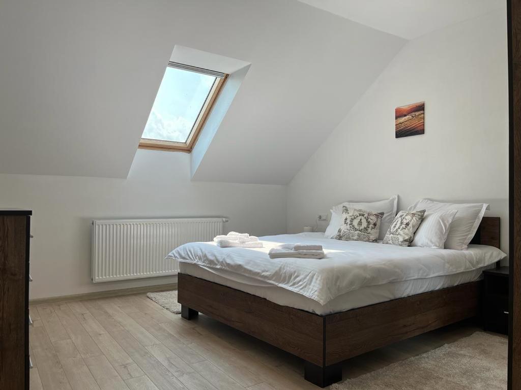 Sabina Apartaments Sfântu-Gheorghe Екстериор снимка