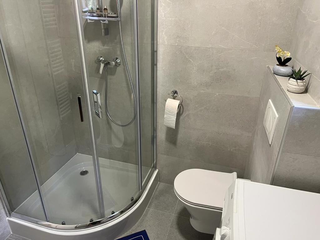 Sabina Apartaments Sfântu-Gheorghe Екстериор снимка