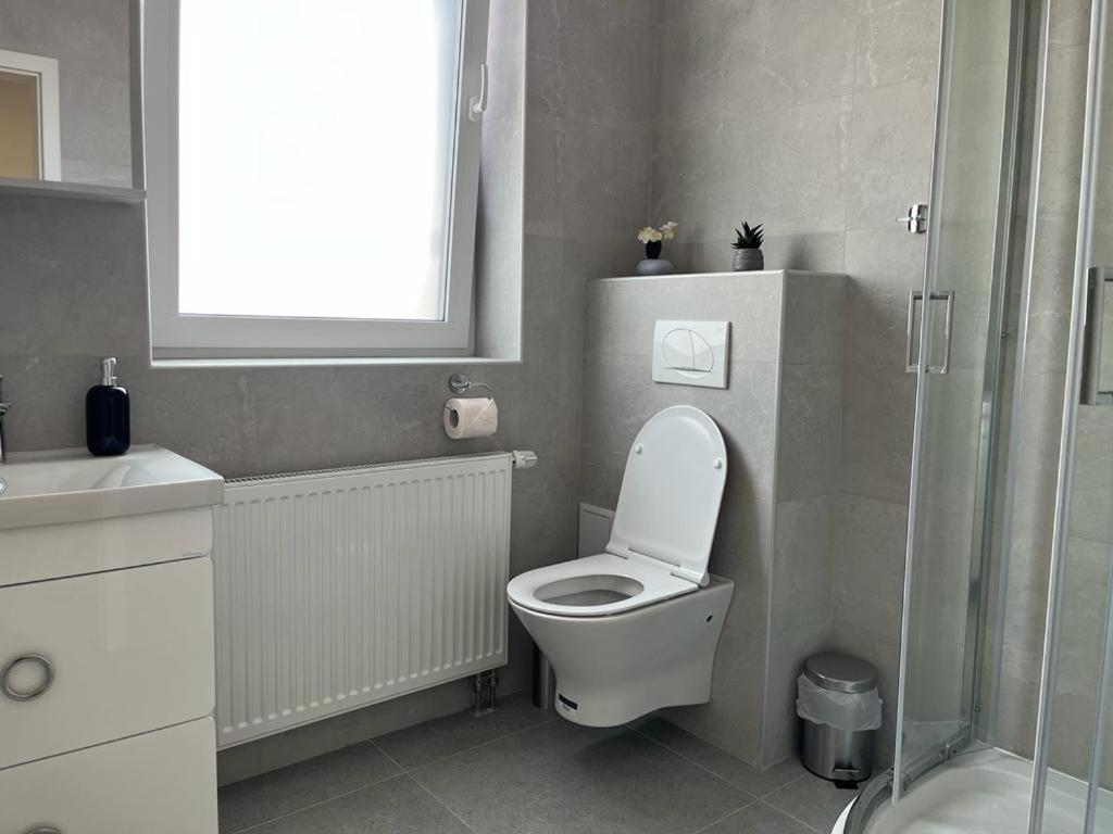 Sabina Apartaments Sfântu-Gheorghe Екстериор снимка