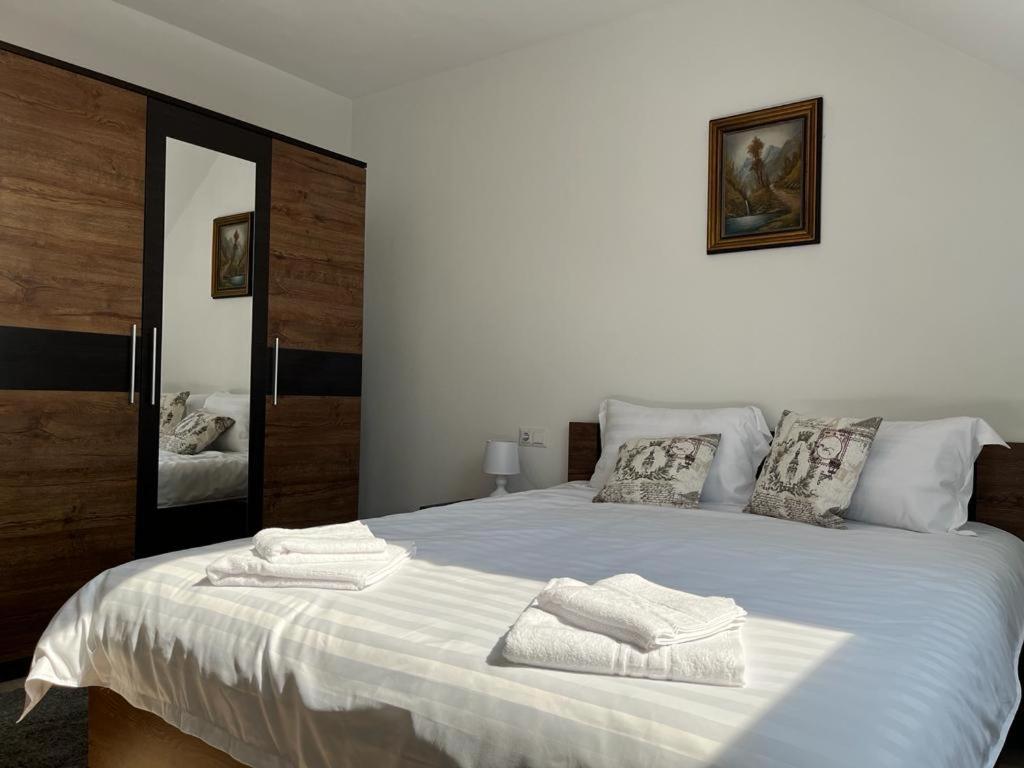 Sabina Apartaments Sfântu-Gheorghe Екстериор снимка